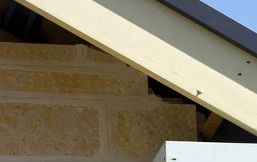 soffit repair Catsfield Stream